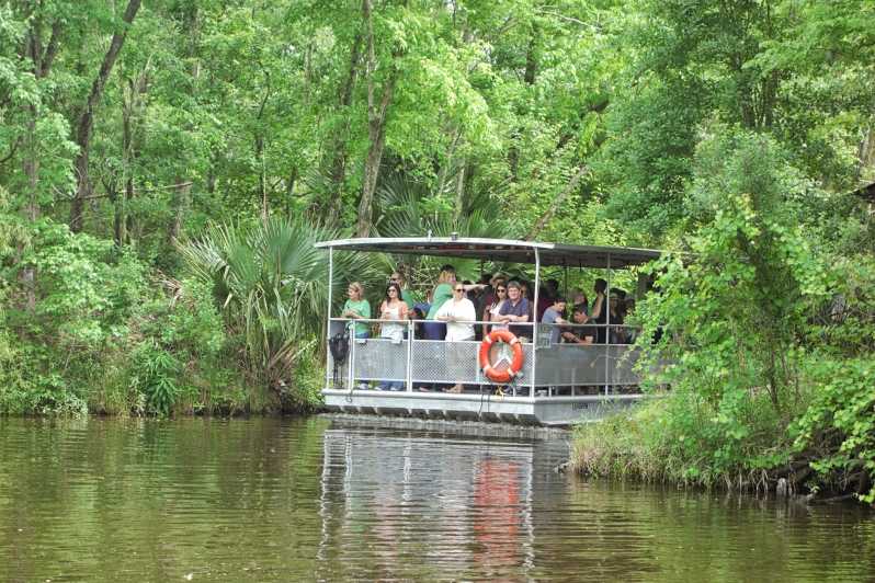 Bayou Swamp Tours Site