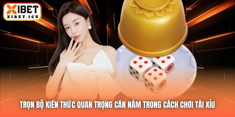 Trọn bộ kiến thức quan trọng cần nắm trong cách chơi Tài Xỉu