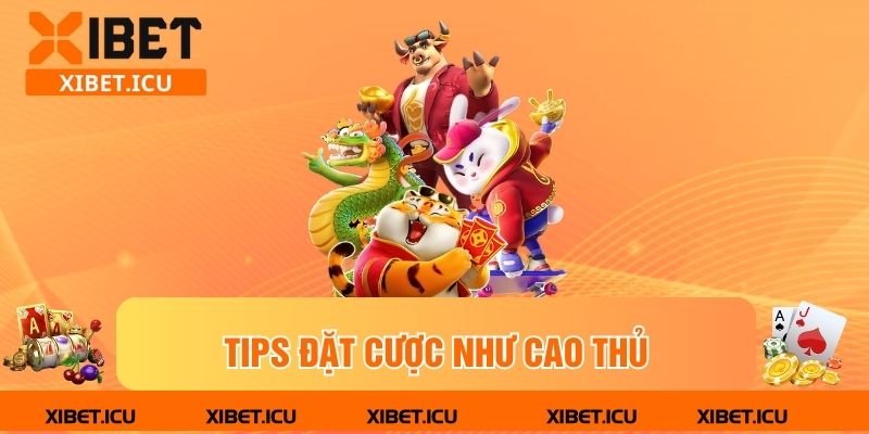 Tips đặt cược như cao thủ