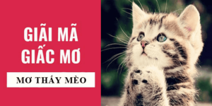 Luận Giải Điềm Báo Khi Mơ Thấy Mèo: Cát Tường Hay Tai Ương?